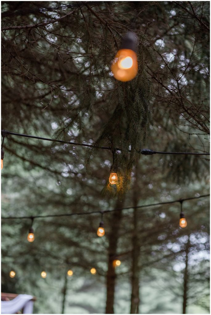 woodsy-wedding-lights