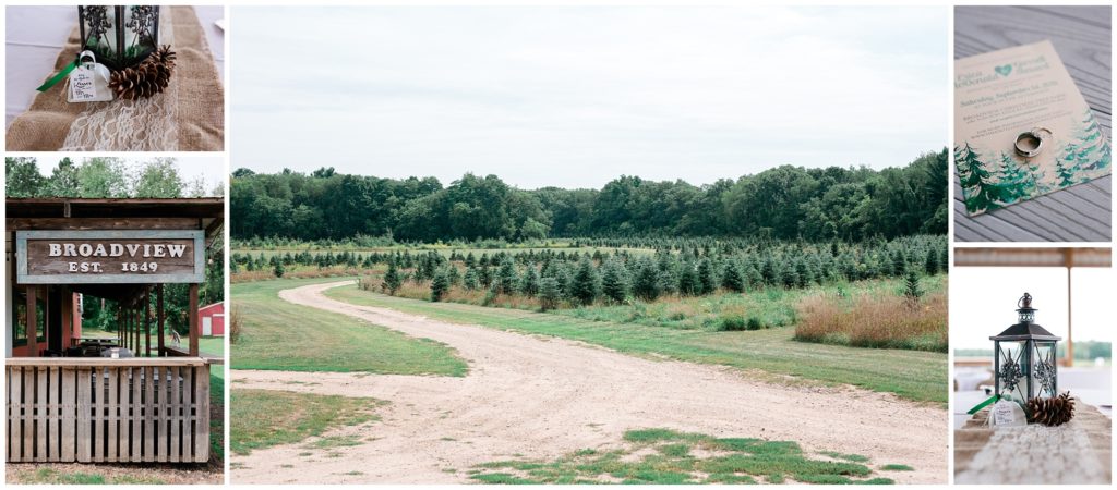 broadview-christmas-tree-farm
