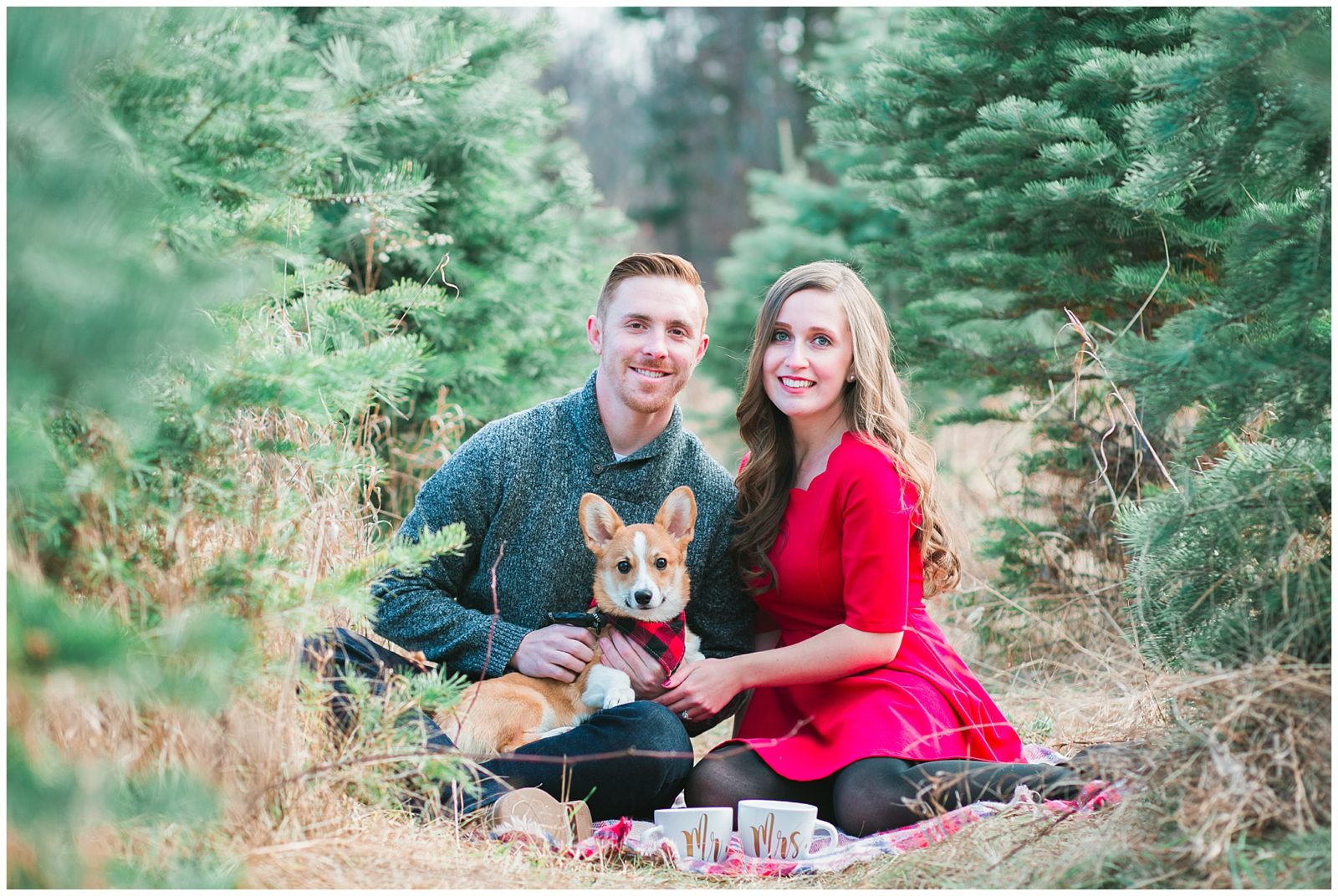 Christmas Tree Farm Engagement Photos Michigan wedding photographer