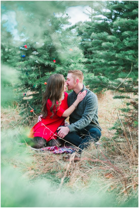 Christmas Tree Farm Engagement Photos Michigan wedding photographer