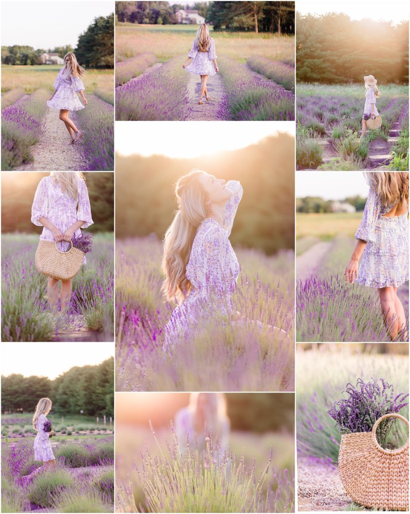 michigan-lavender-photos