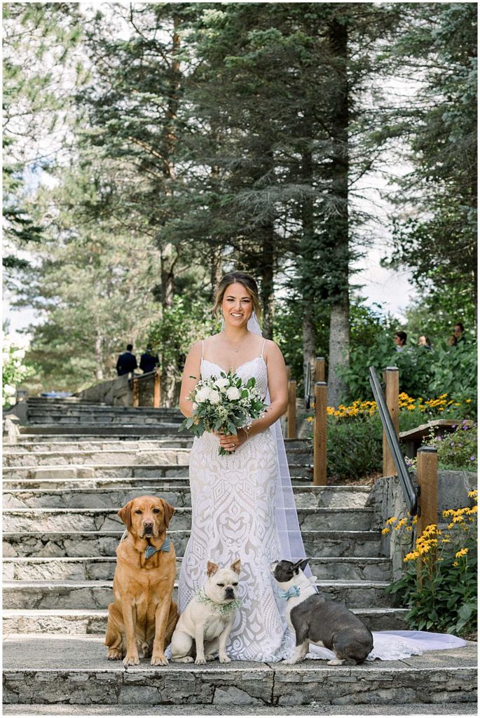 dogs-and-bride-pictures