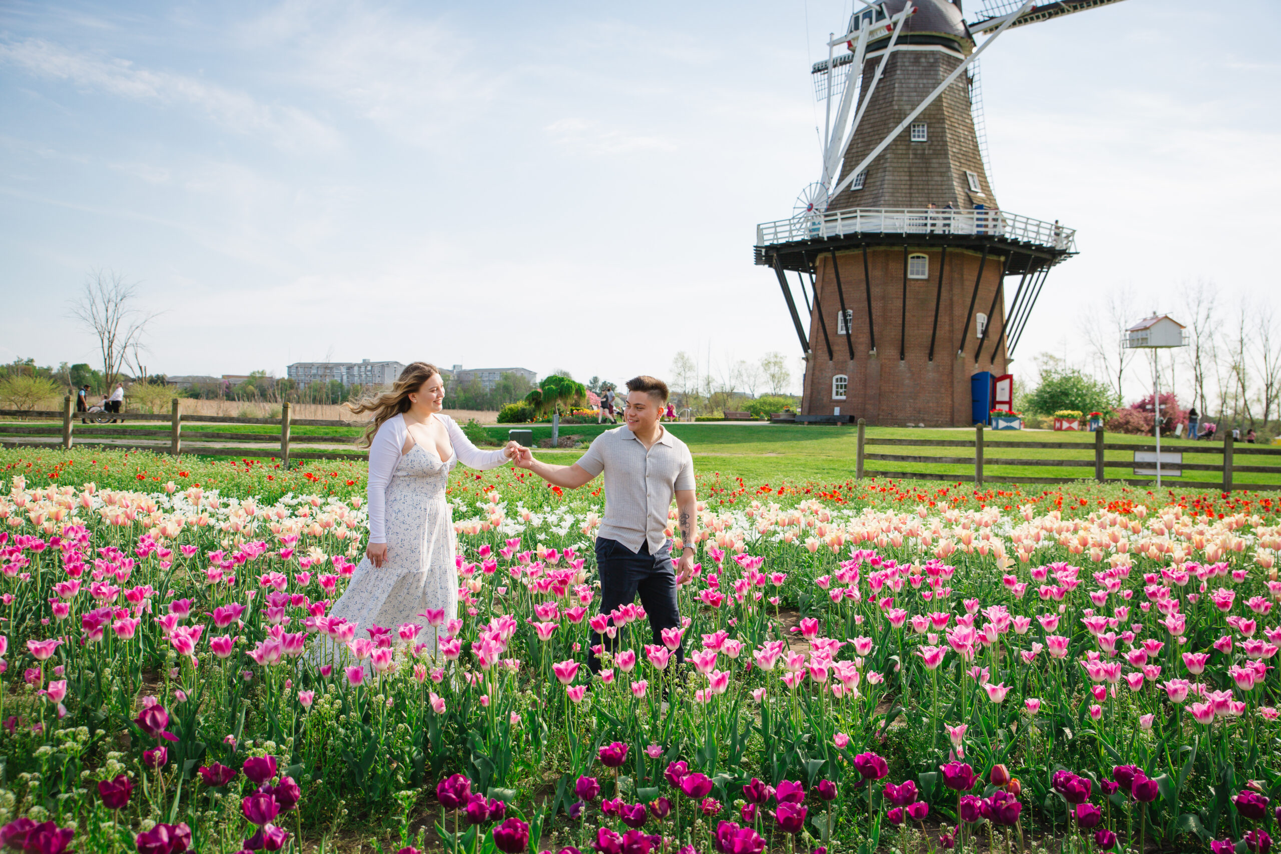 Tulip festival engagement session in Holland, Michigna